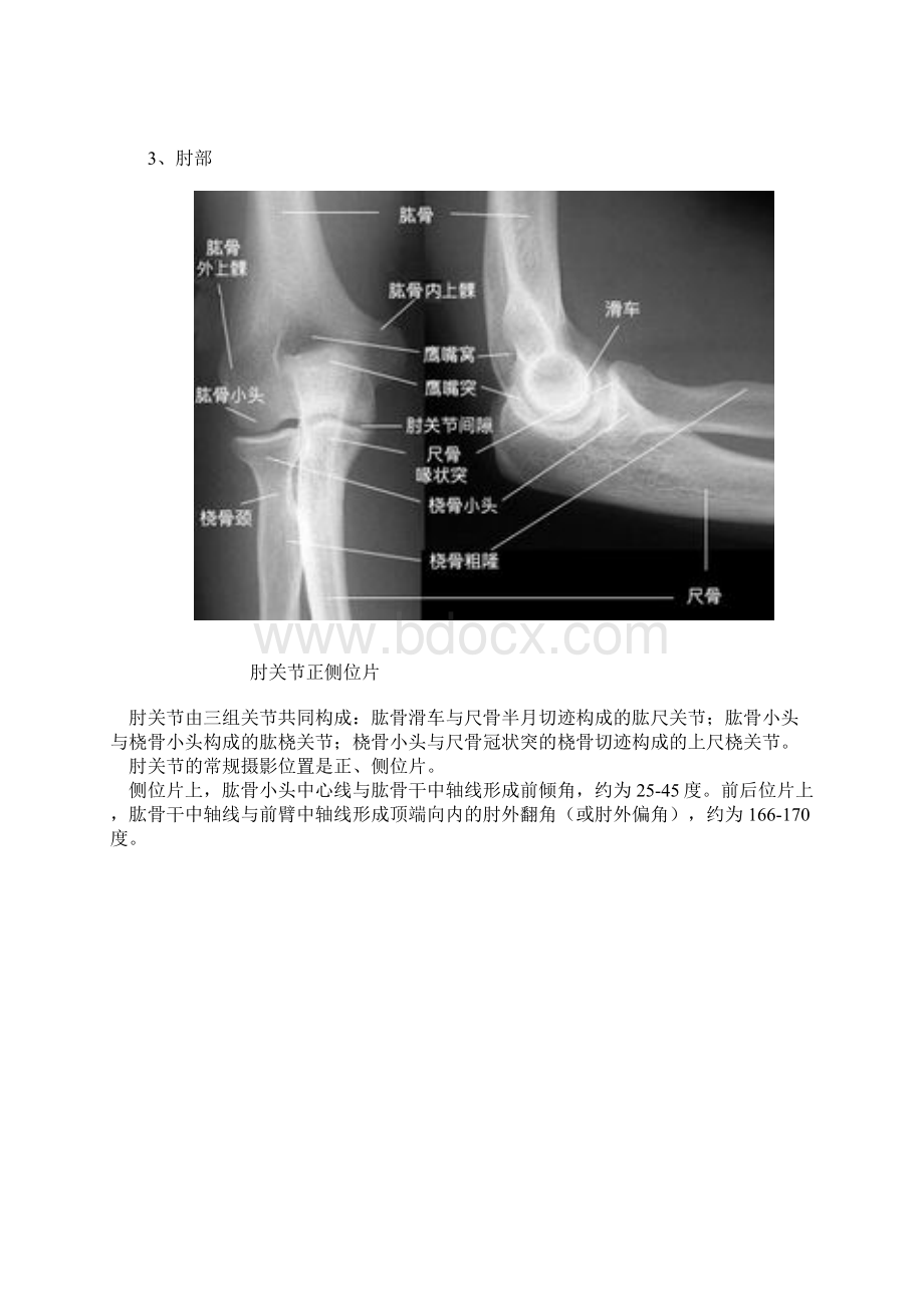 骨关节影像解剖.docx_第3页