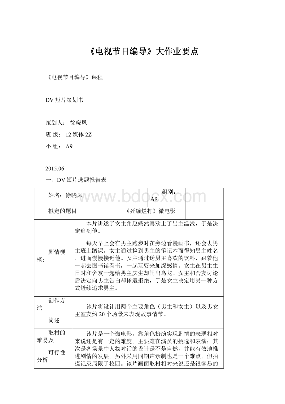 《电视节目编导》大作业要点文档格式.docx