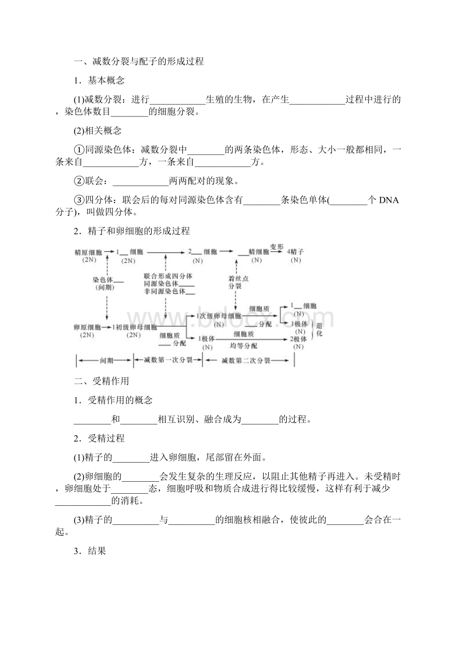 推荐学习K12江苏专用高考生物一轮总复习 第4单元 细胞的生命历程 第2讲 细胞的增殖.docx_第2页