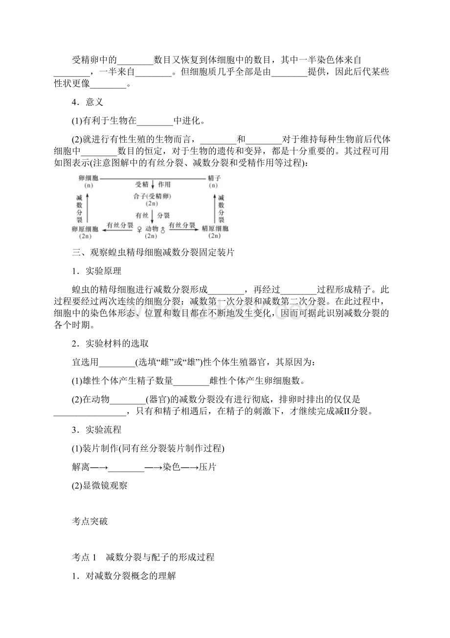 推荐学习K12江苏专用高考生物一轮总复习 第4单元 细胞的生命历程 第2讲 细胞的增殖Word文档下载推荐.docx_第3页