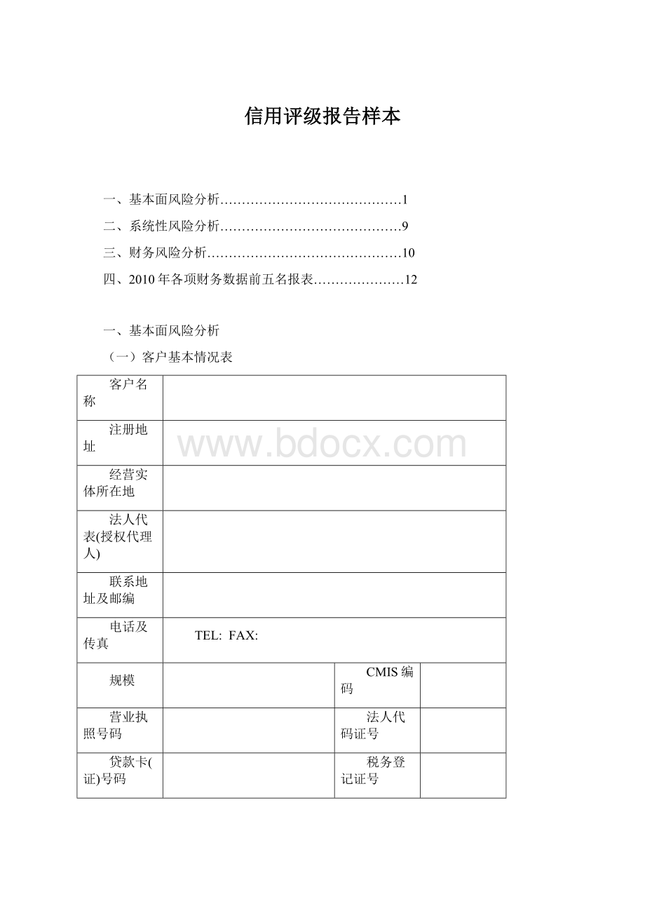 信用评级报告样本Word格式.docx_第1页