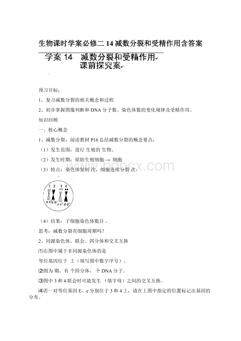 生物课时学案必修二14减数分裂和受精作用含答案.docx