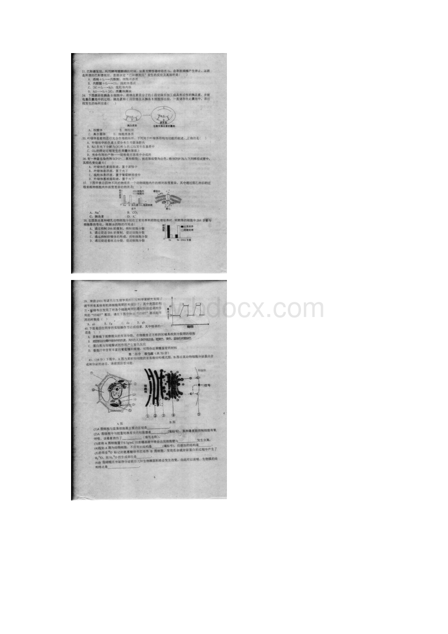 福建省福州三中学年高一上学期期末考试生物试题扫描版.docx_第3页