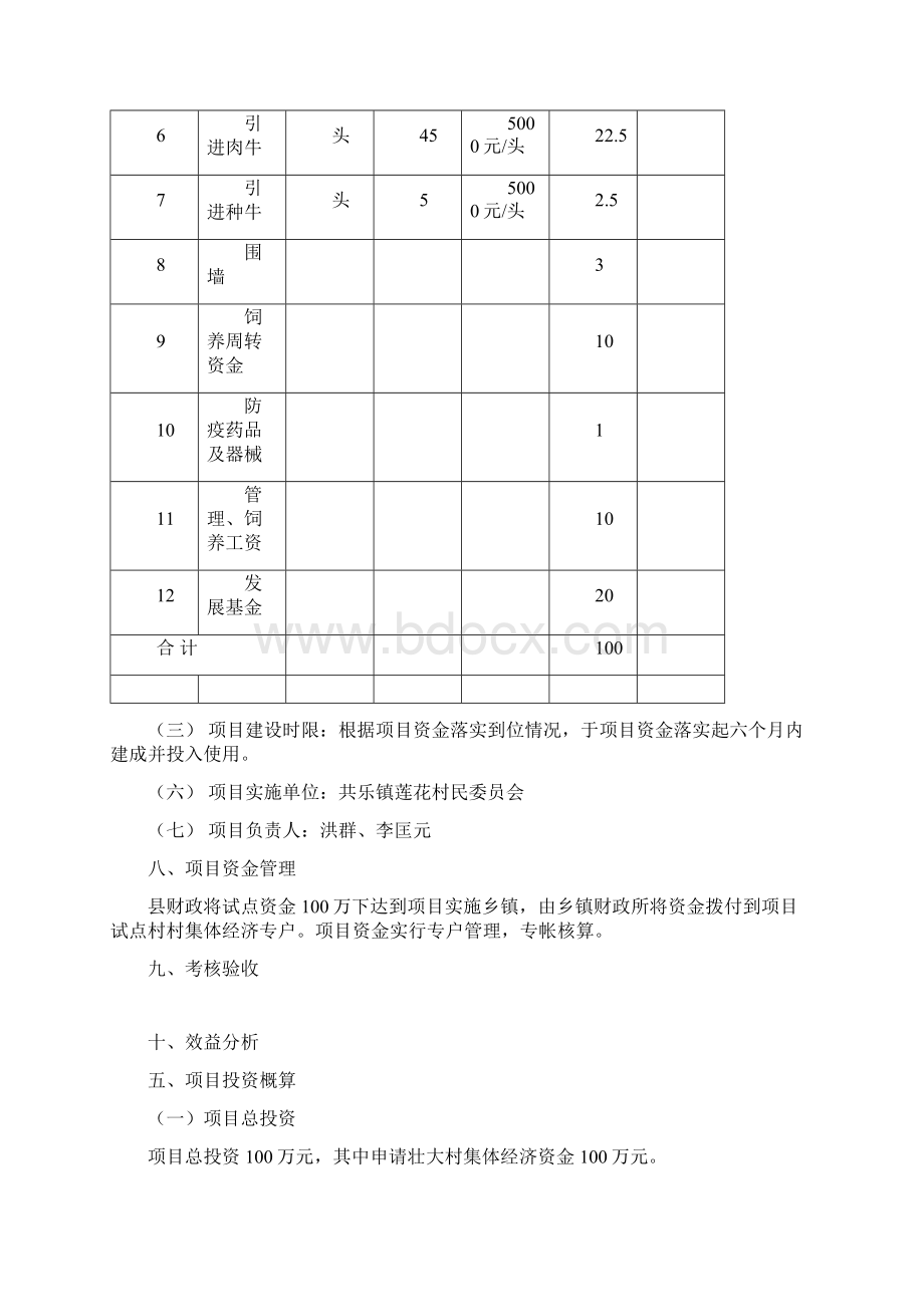 某镇某村开发变化壮大村集体经济基金村级使用组织计划Word文档下载推荐.docx_第3页