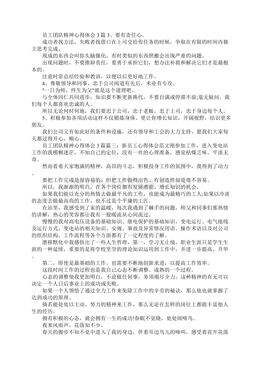 员工团队精神心得体会3篇.docx_第2页