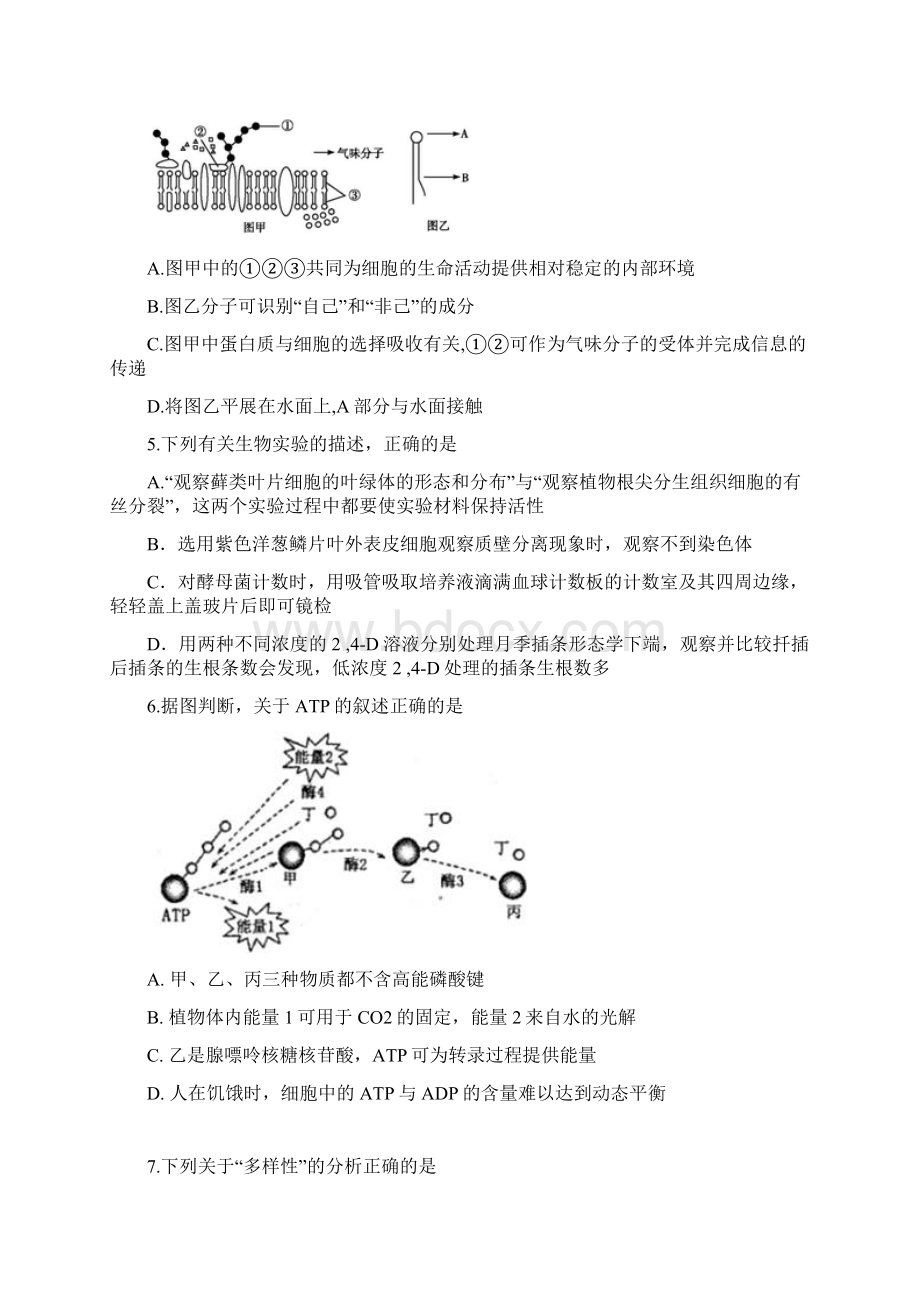 河南省三门峡市高三第一次大练习试题生物Word下载.docx_第2页