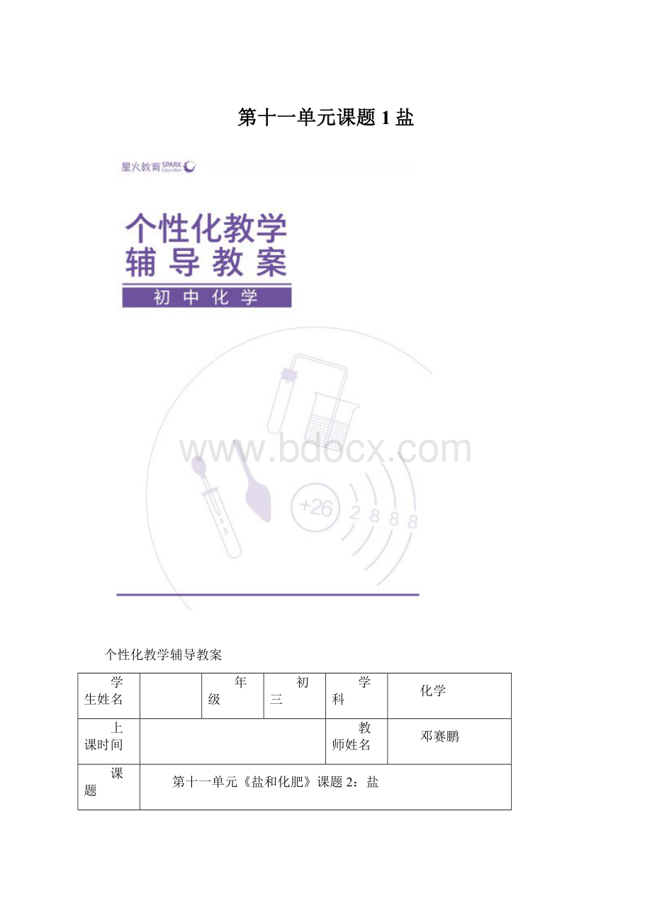 第十一单元课题1盐.docx_第1页