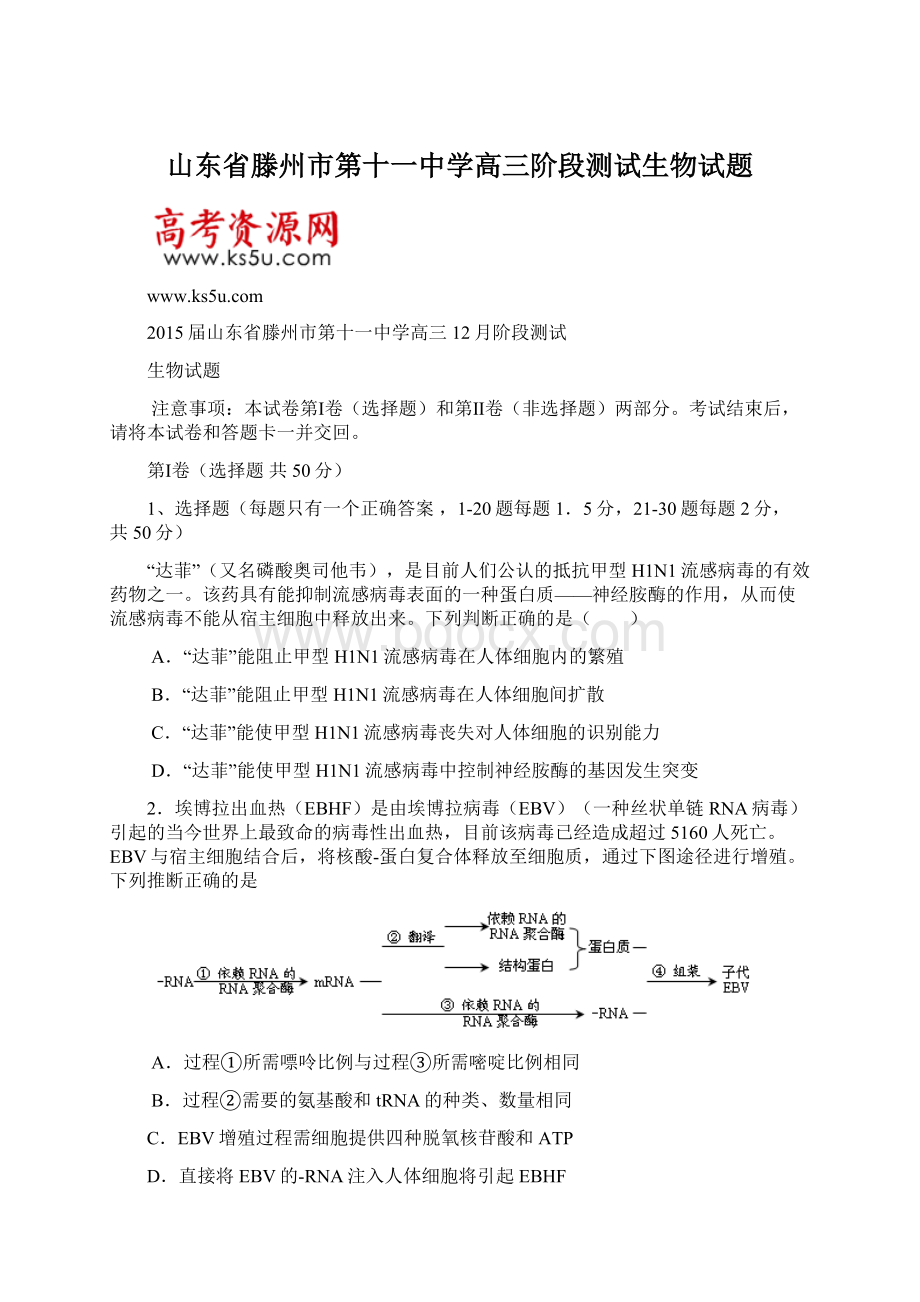 山东省滕州市第十一中学高三阶段测试生物试题.docx