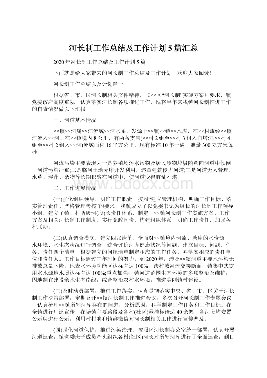 河长制工作总结及工作计划5篇汇总文档格式.docx