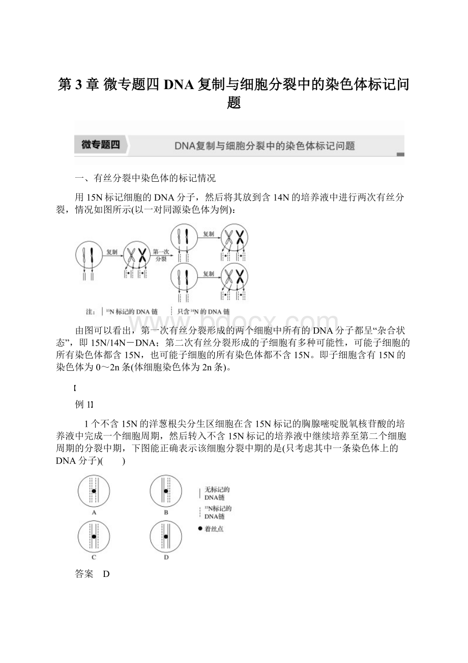 第3章 微专题四 DNA复制与细胞分裂中的染色体标记问题.docx_第1页