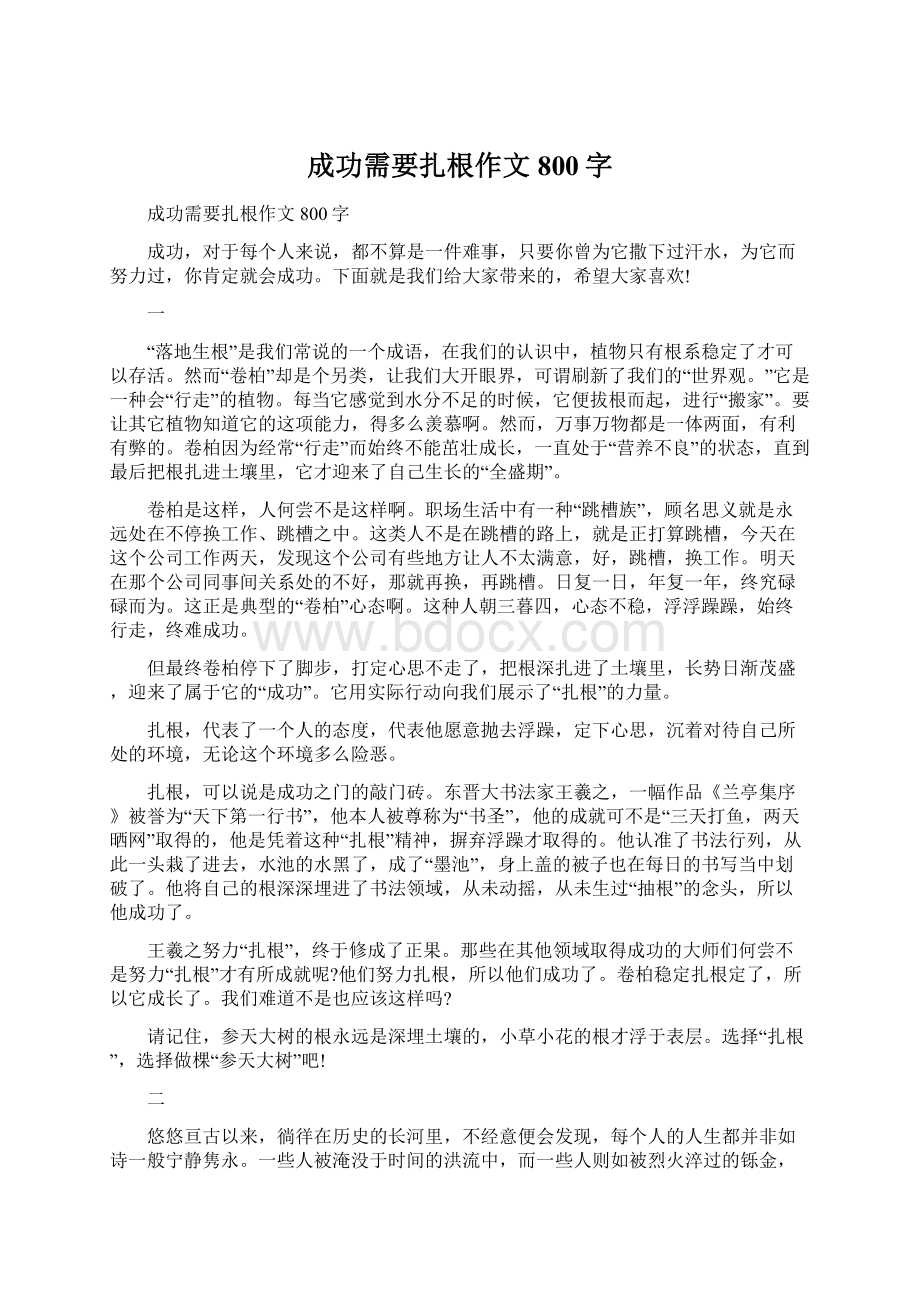 成功需要扎根作文800字Word格式文档下载.docx