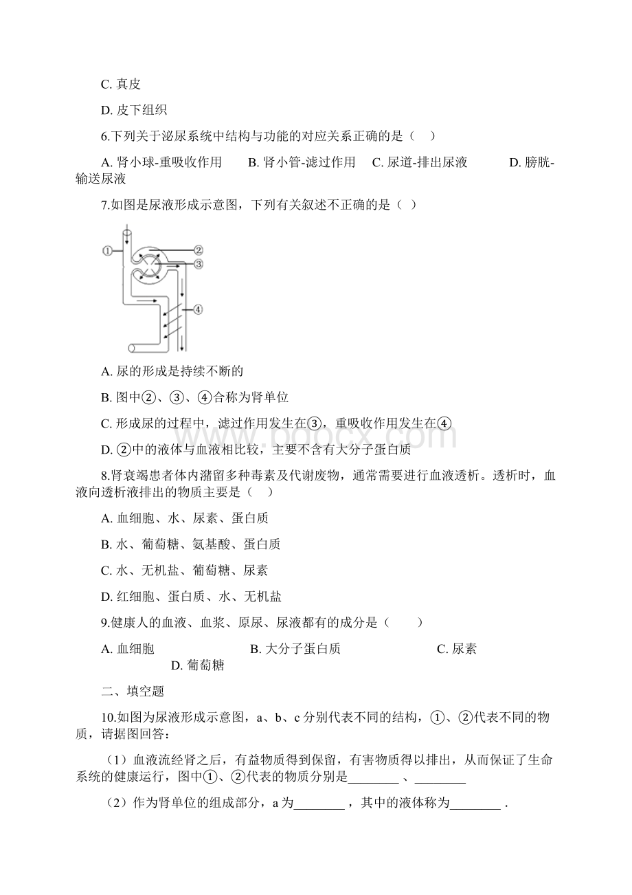 七年级生物下册第五章人体内的废物的排出测试题含答案.docx_第2页