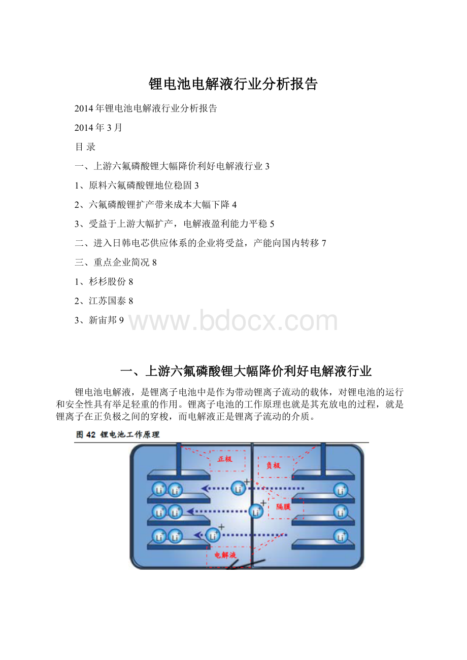 锂电池电解液行业分析报告Word文档格式.docx_第1页