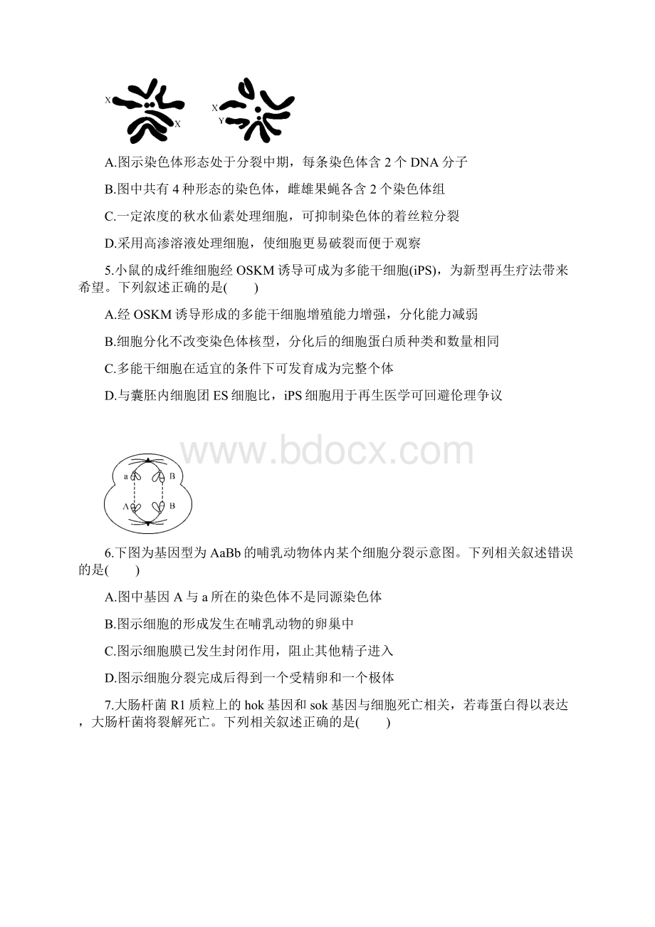 江苏省苏锡常镇届高三第二次调研生物试题文档格式.docx_第2页