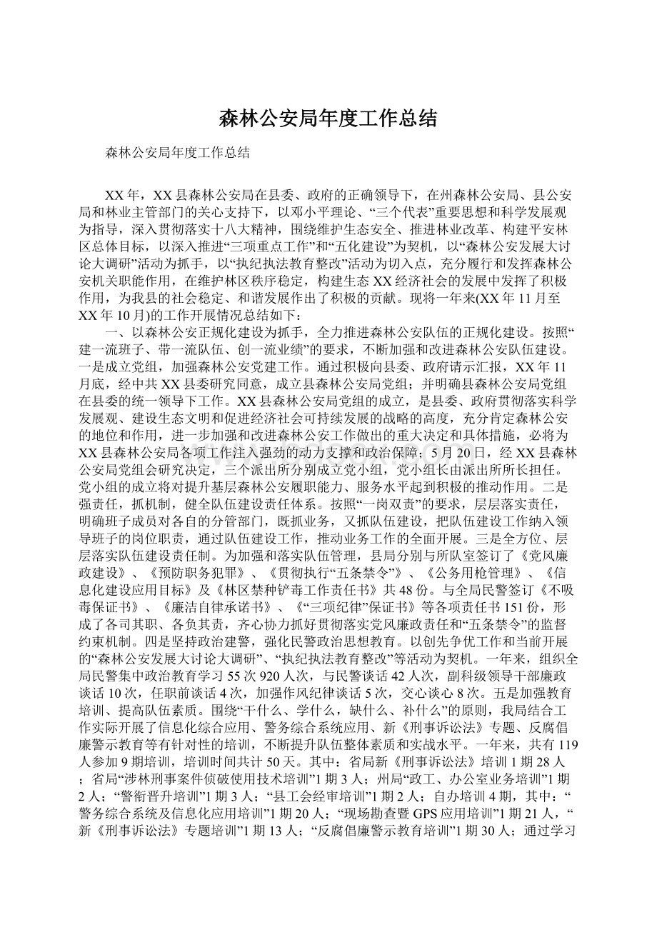 森林公安局年度工作总结Word文档格式.docx