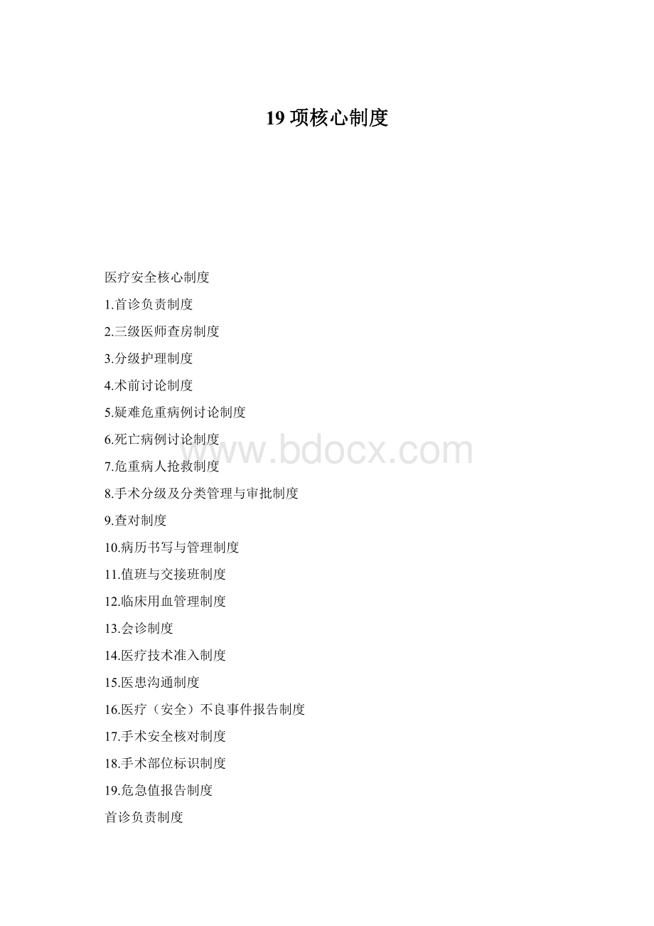 19项核心制度Word下载.docx