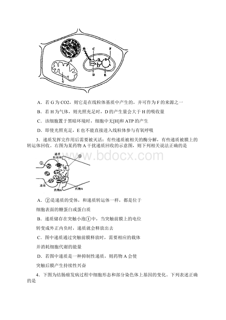 河南省郑州市届高中毕业班考前检测二word版 理综.docx_第2页