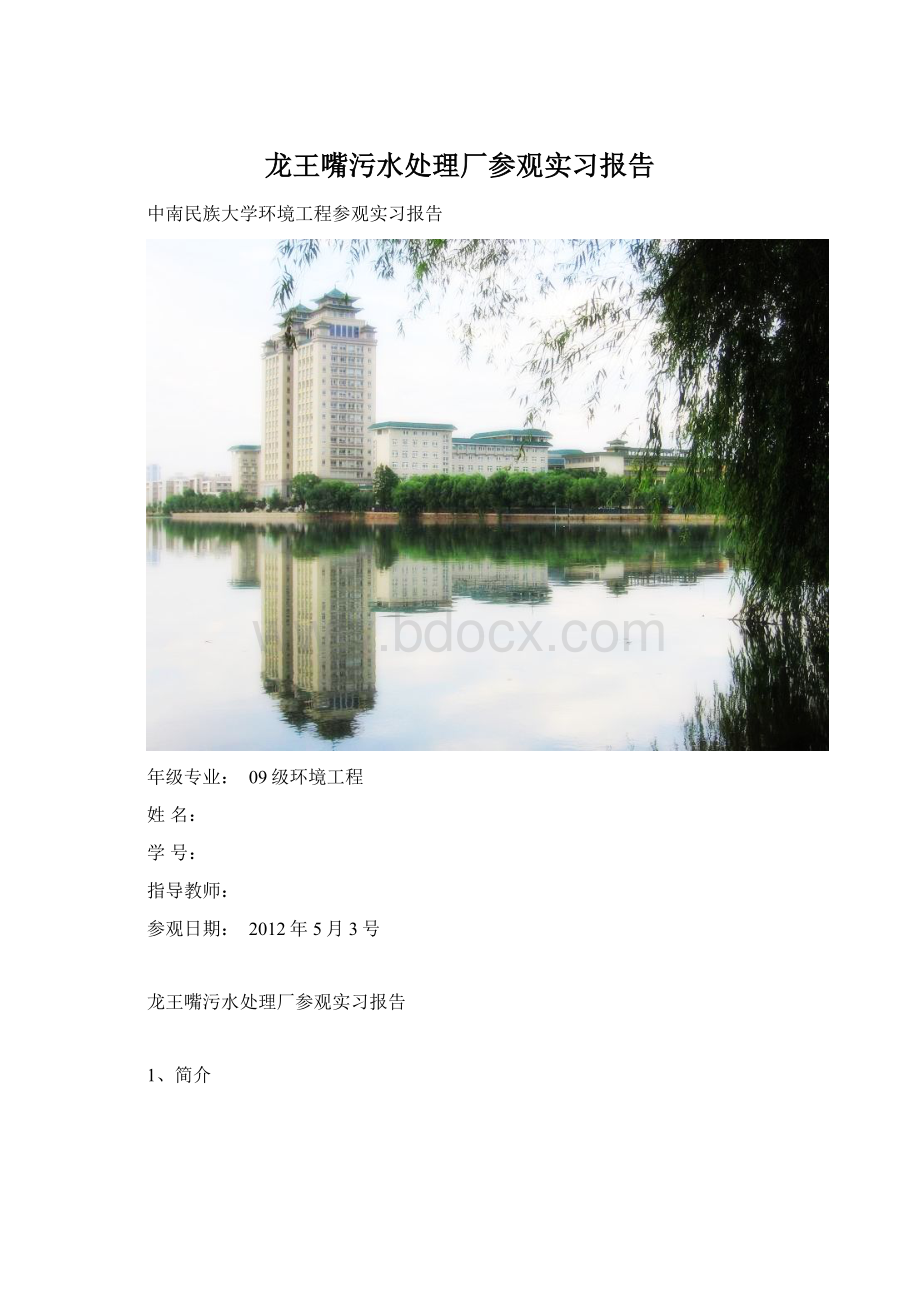 龙王嘴污水处理厂参观实习报告.docx_第1页