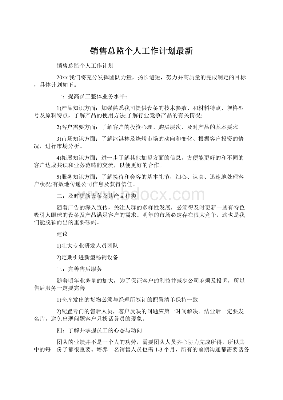 销售总监个人工作计划最新.docx