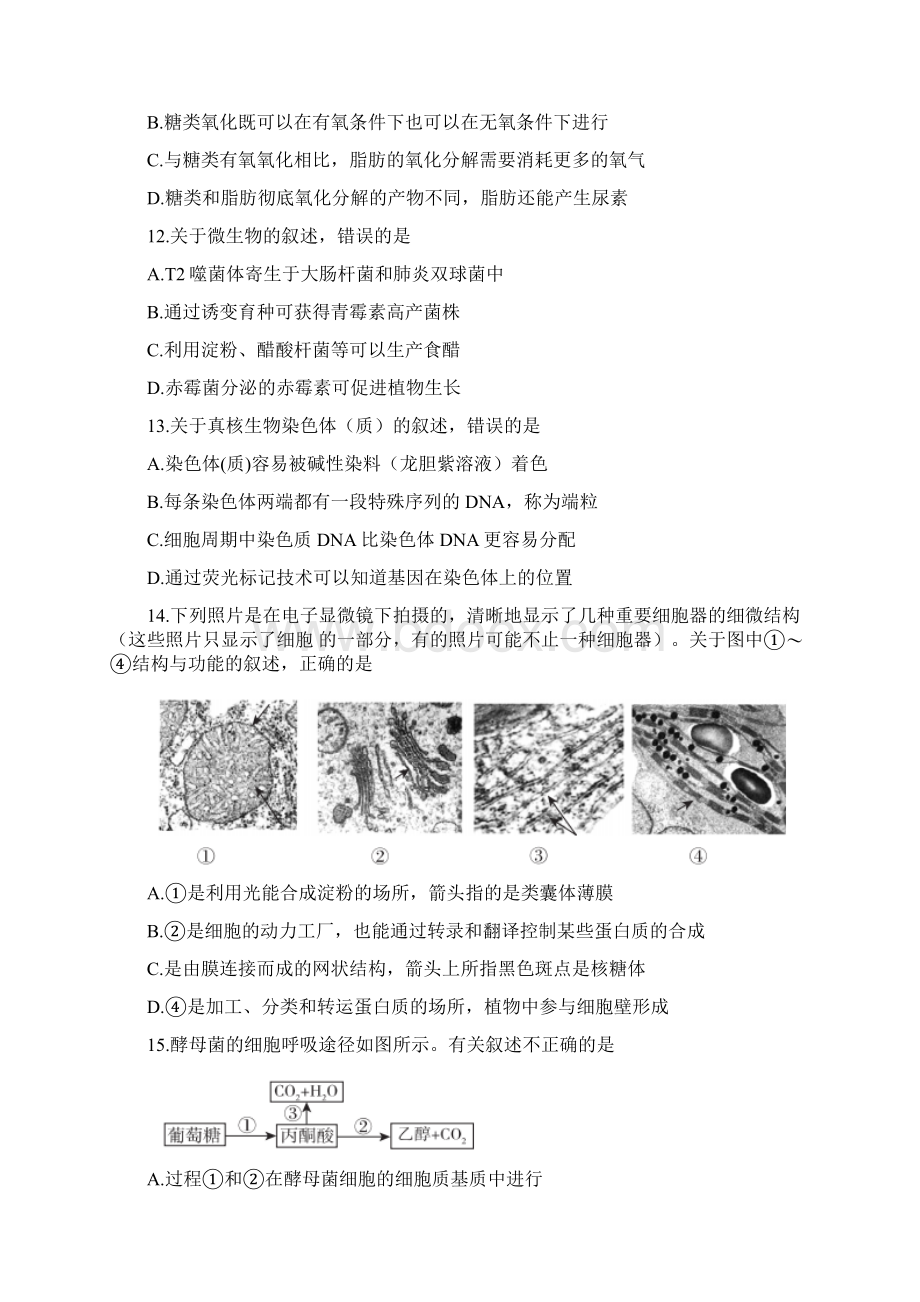 超级全能生高考全国卷26省联考甲卷生物试题Word格式.docx_第3页