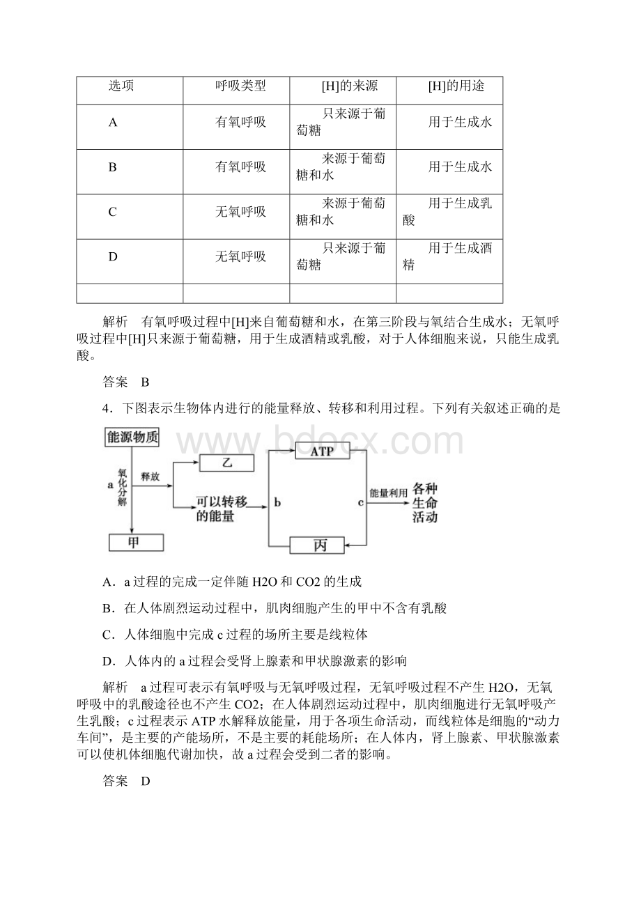 ATP的主要来源细胞呼吸.docx_第2页