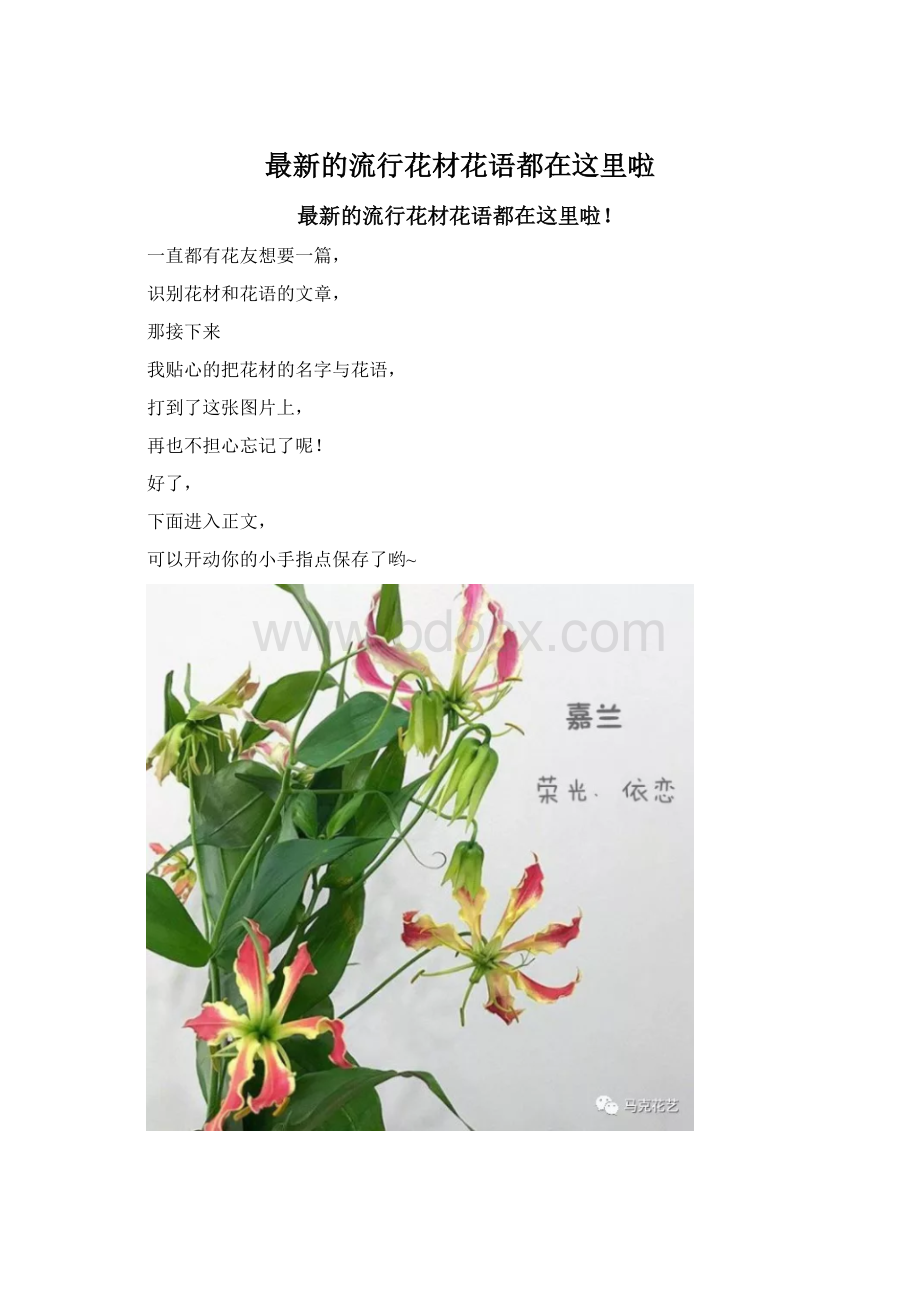 最新的流行花材花语都在这里啦Word文档下载推荐.docx_第1页