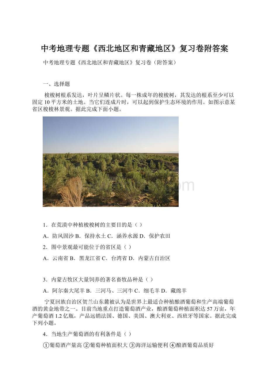 中考地理专题《西北地区和青藏地区》复习卷附答案.docx