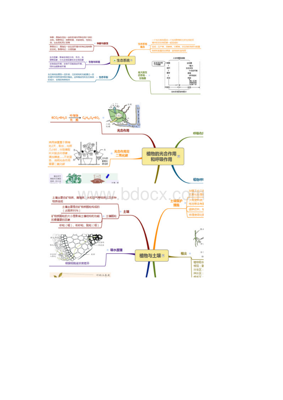 中考科学之生命科学考点思维导图全程解读.docx_第2页