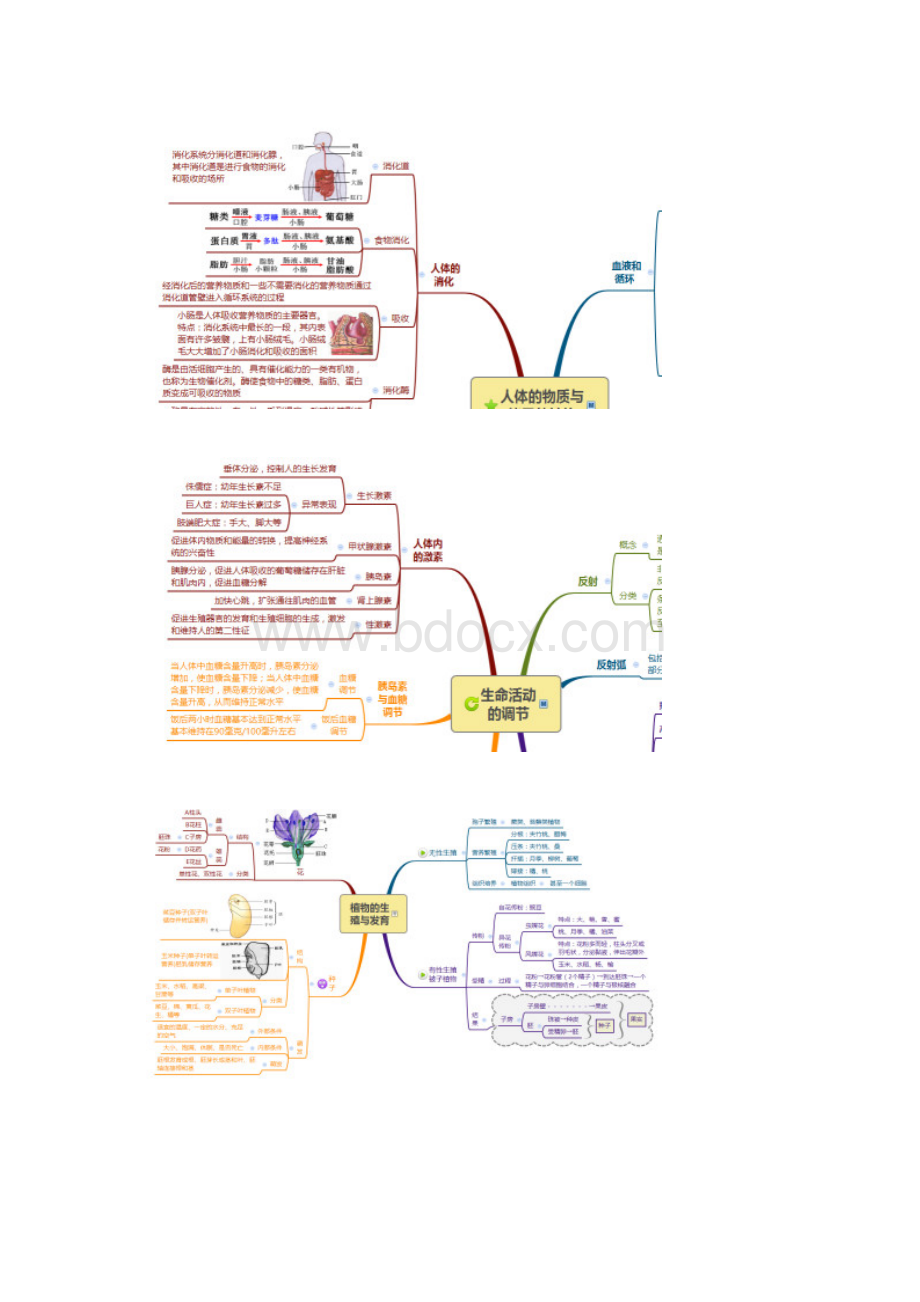 中考科学之生命科学考点思维导图全程解读.docx_第3页