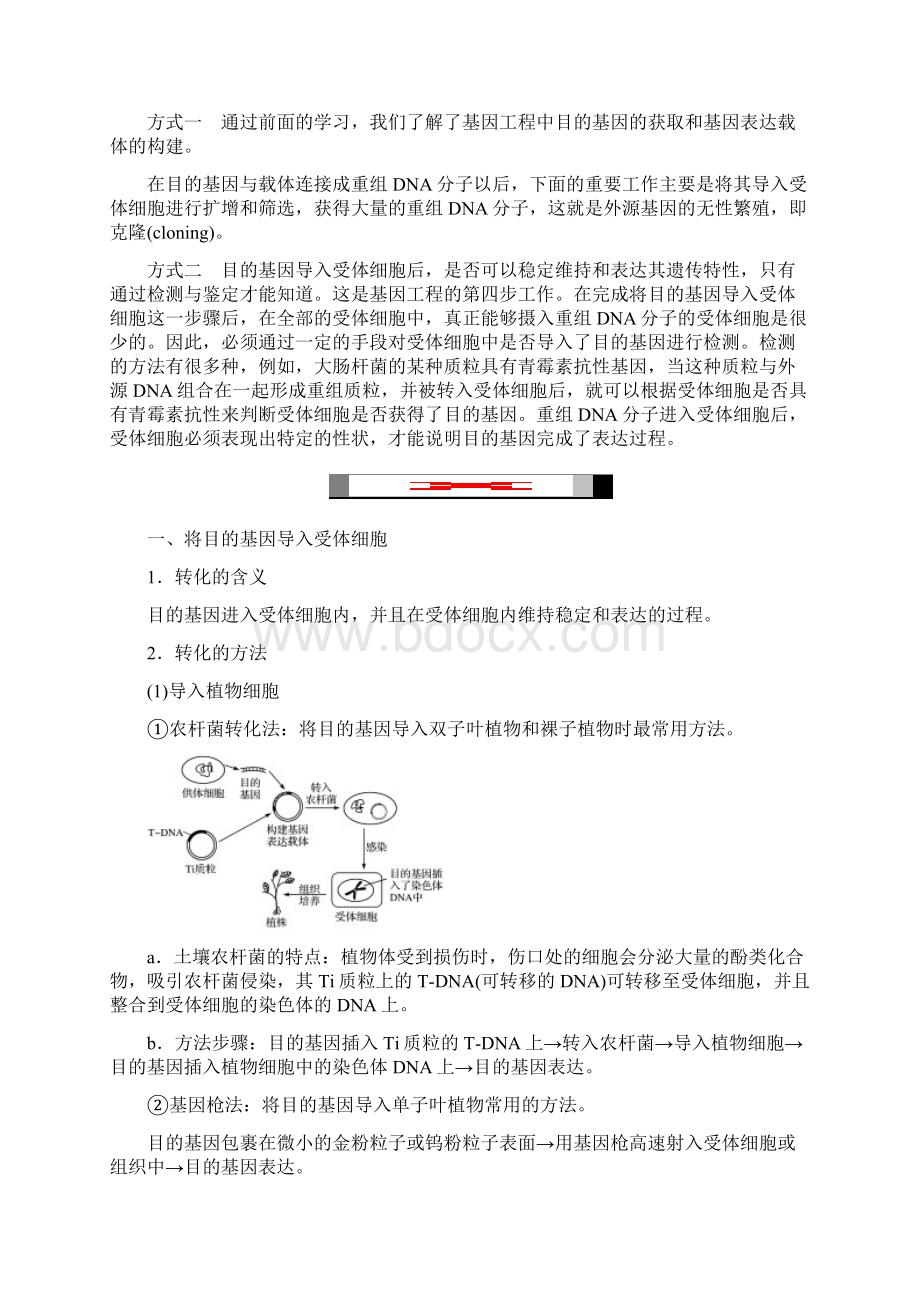 高中生物专题1基因工程12基因工程的基本操作程序122目的基因的导入检测与鉴定学案新人教版选修3.docx_第2页