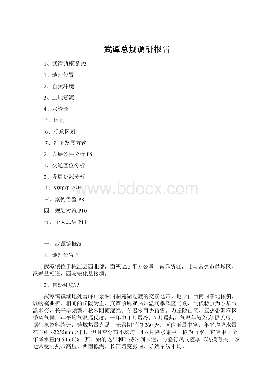 武谭总规调研报告.docx