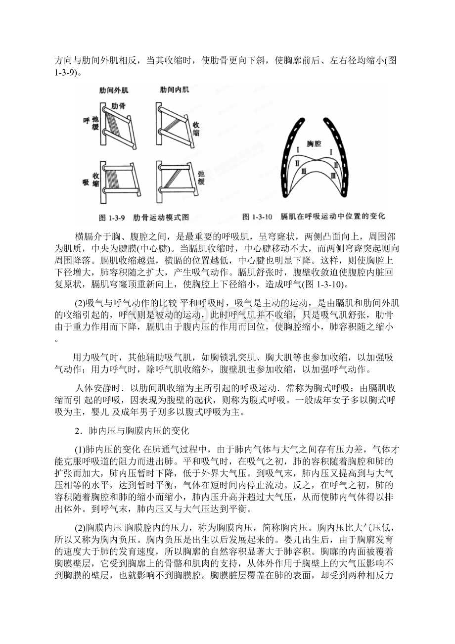 高中生物第五章细胞的能量供应和利用53呼吸作用教案新人教版必修1.docx_第2页