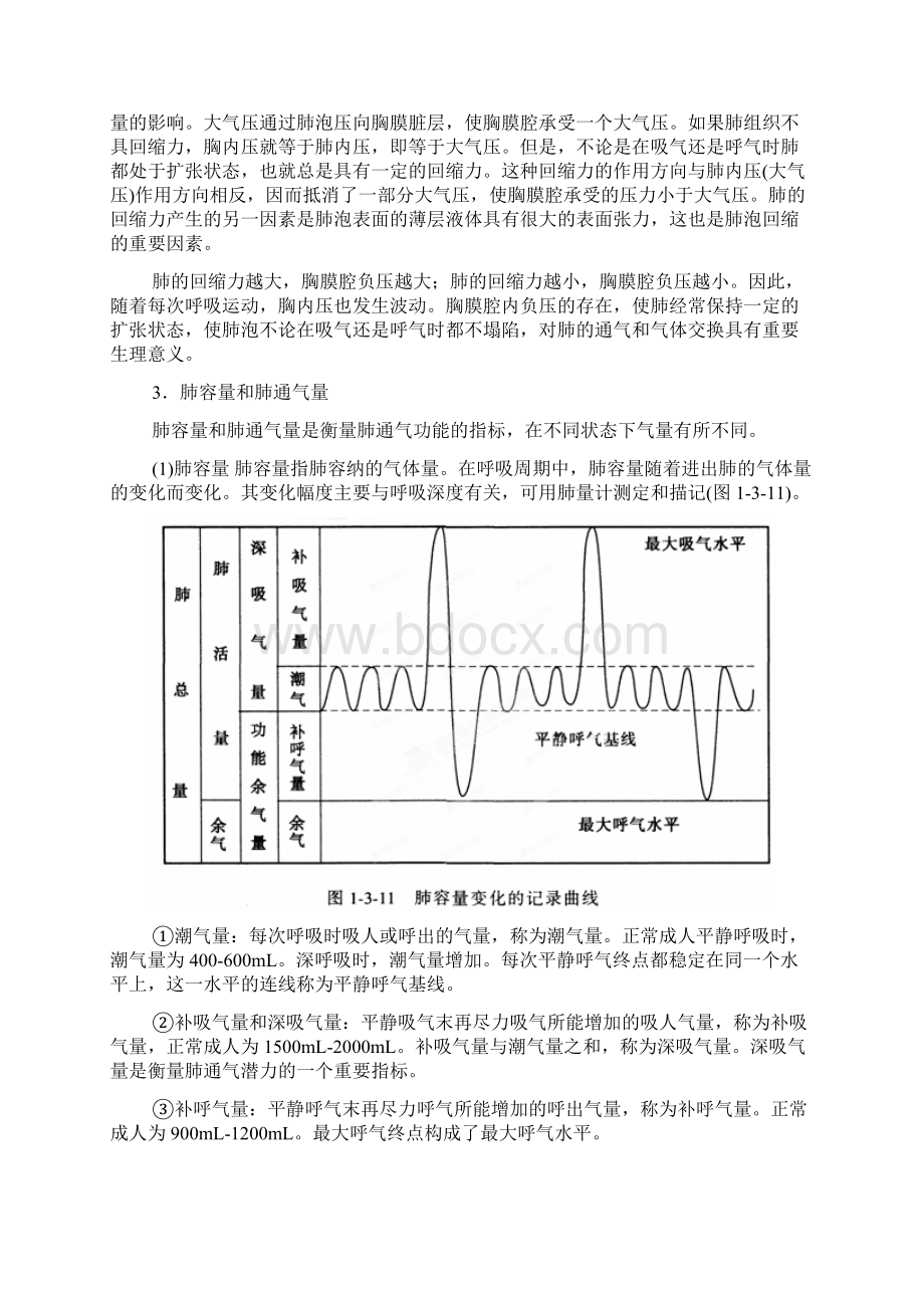 高中生物第五章细胞的能量供应和利用53呼吸作用教案新人教版必修1.docx_第3页