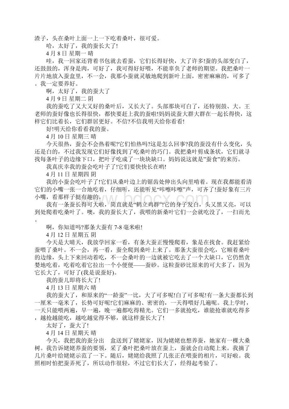 20XX小学三年级语文作文蚕宝宝观察日记.docx_第3页