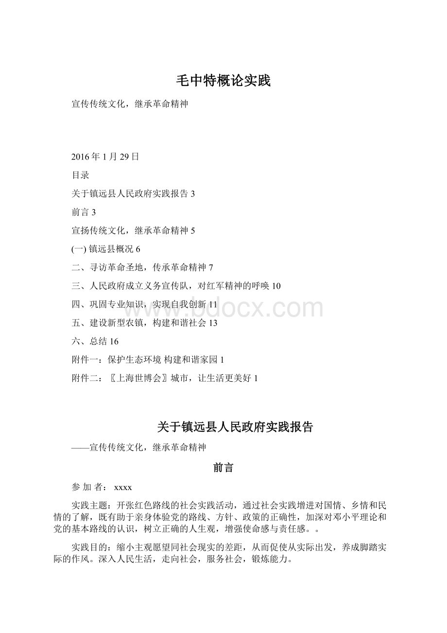 毛中特概论实践Word下载.docx_第1页