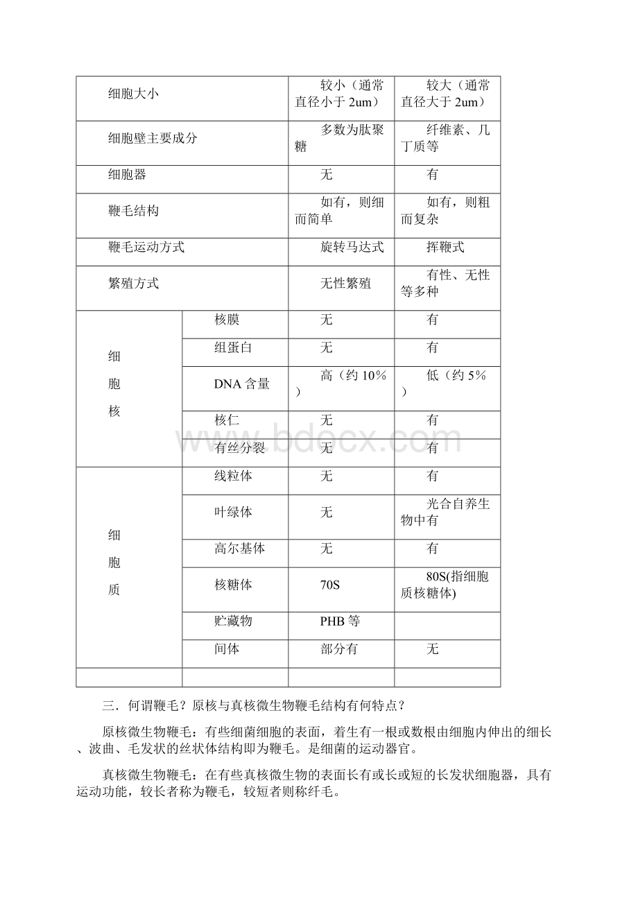 微生物的细胞结构与功能.docx_第2页