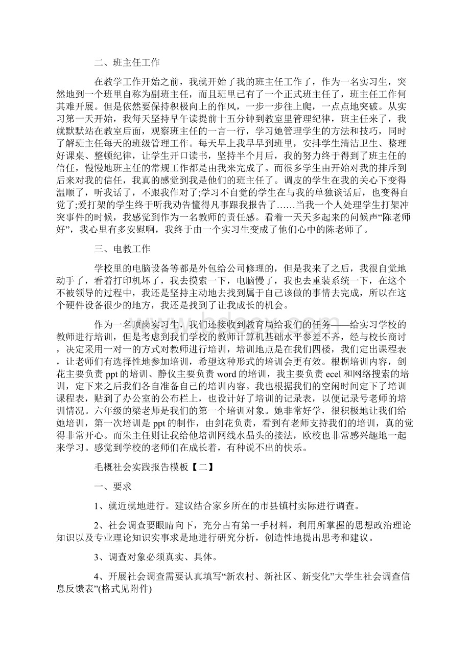 毛概社会实践报告模板三篇.docx_第2页