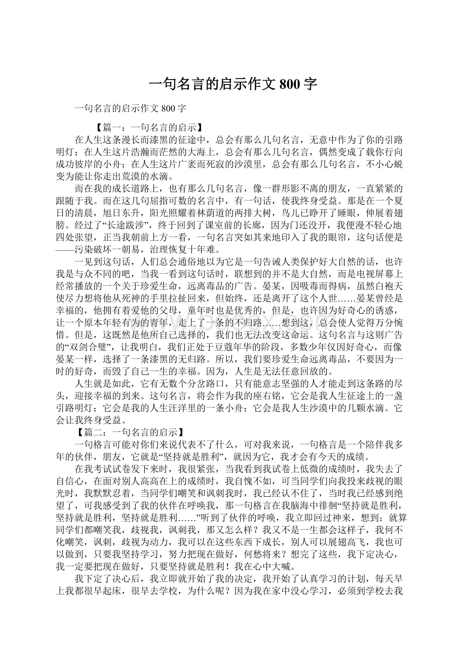 一句名言的启示作文800字.docx