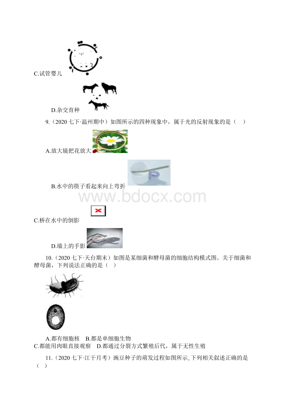 期中卷浙江版七年级科学下学期期中质量检测卷一含答案与解析Word文档下载推荐.docx_第3页