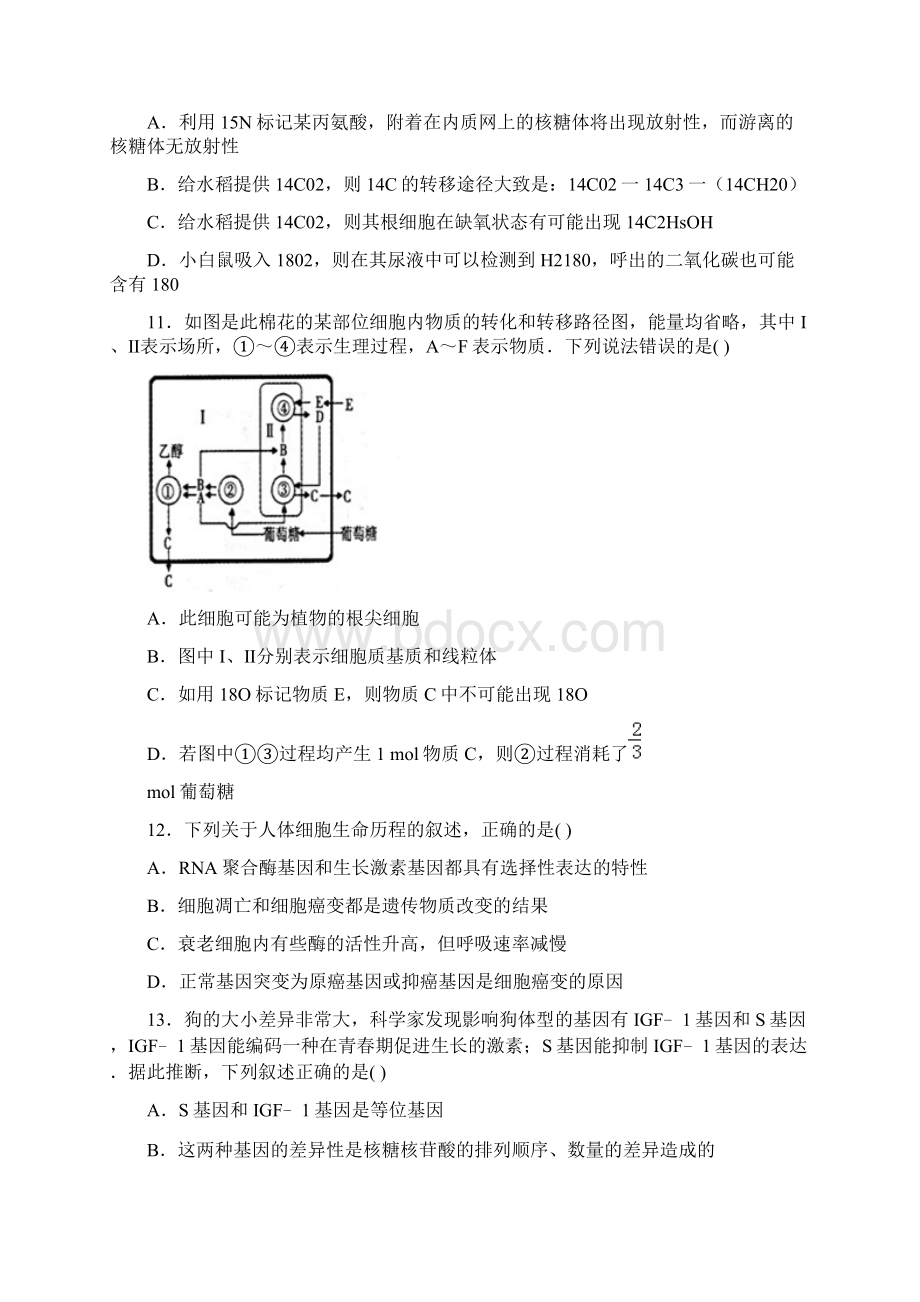 山东省烟台市届高三生物上册期中试题Word文档下载推荐.docx_第3页