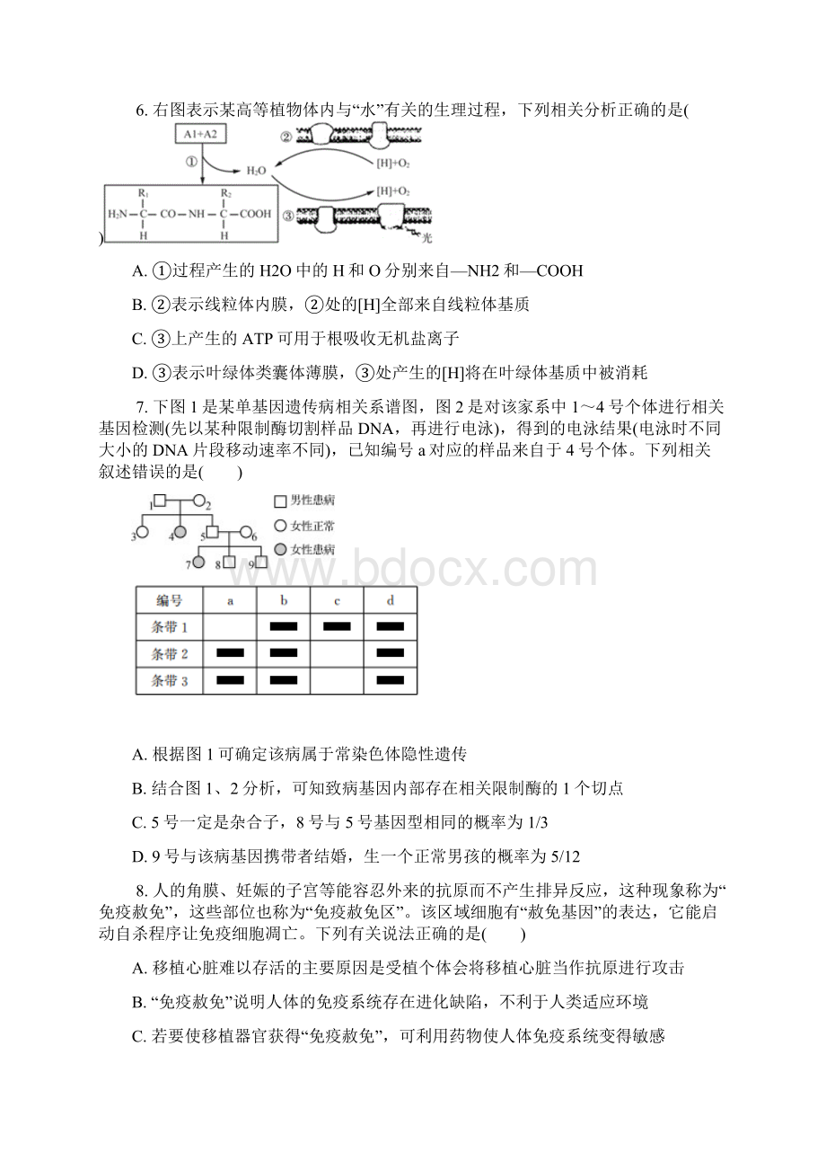 江苏省常州市届高三第一次质量检测生物试题.docx_第3页