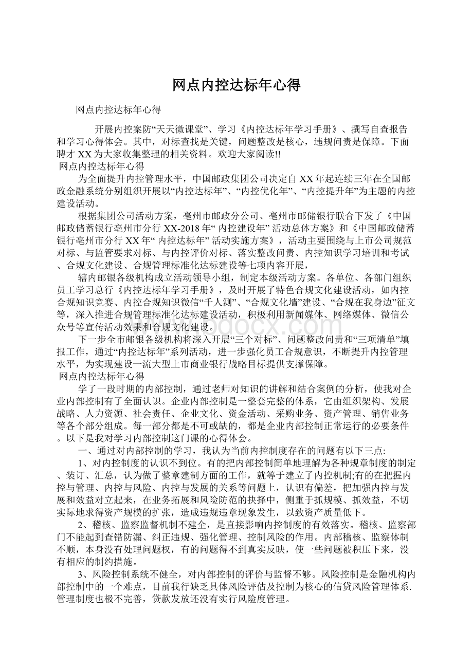 网点内控达标年心得文档格式.docx_第1页