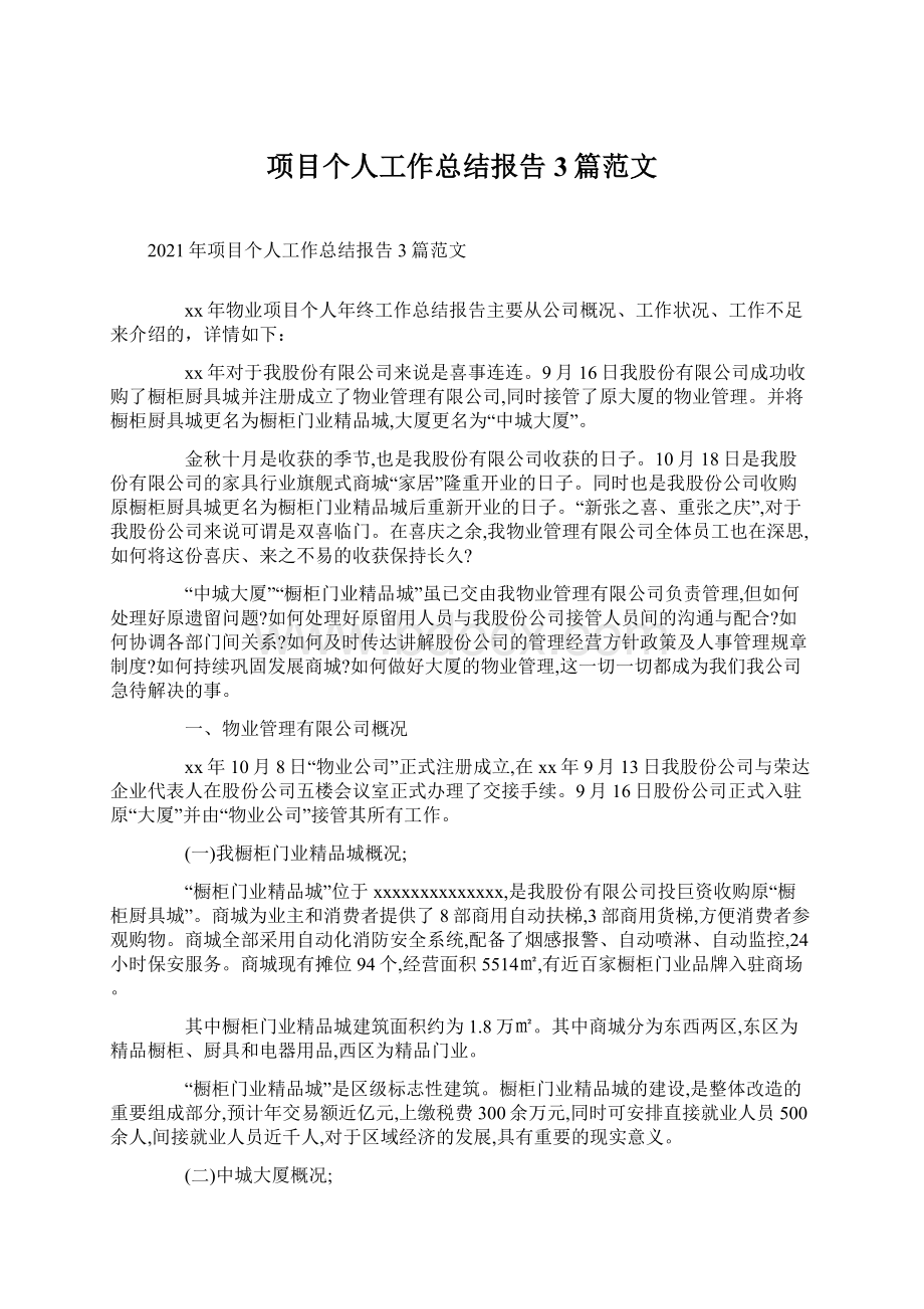 项目个人工作总结报告3篇范文.docx