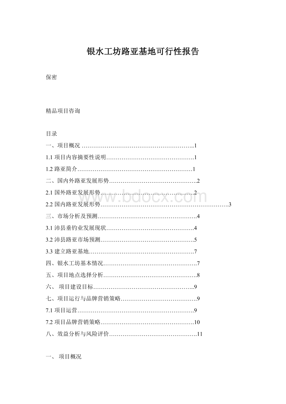 银水工坊路亚基地可行性报告Word格式.docx