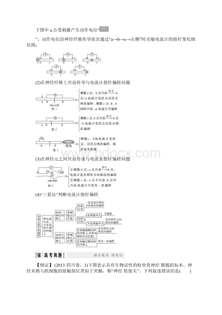 版生物高考新素养总复习中图版讲义考点加强课5和答案Word文档下载推荐.docx_第2页