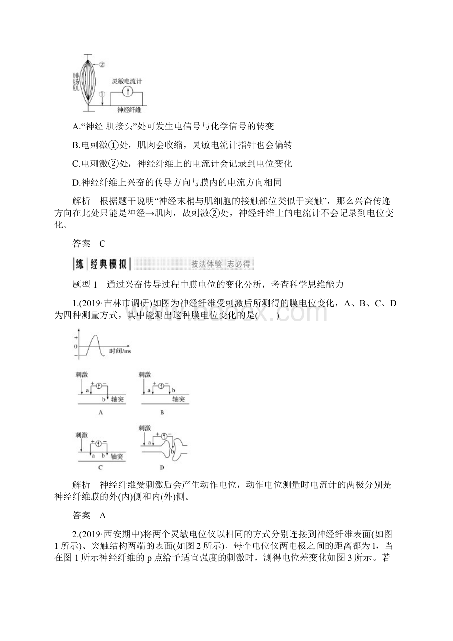 版生物高考新素养总复习中图版讲义考点加强课5和答案Word文档下载推荐.docx_第3页