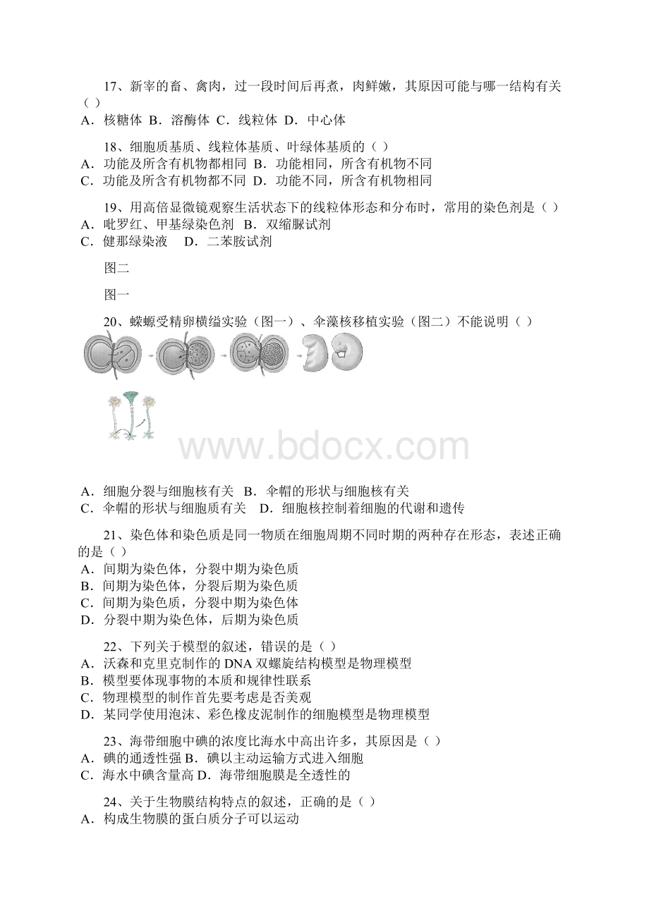 高一生物《分子与细胞》期末质量调研检测.docx_第3页