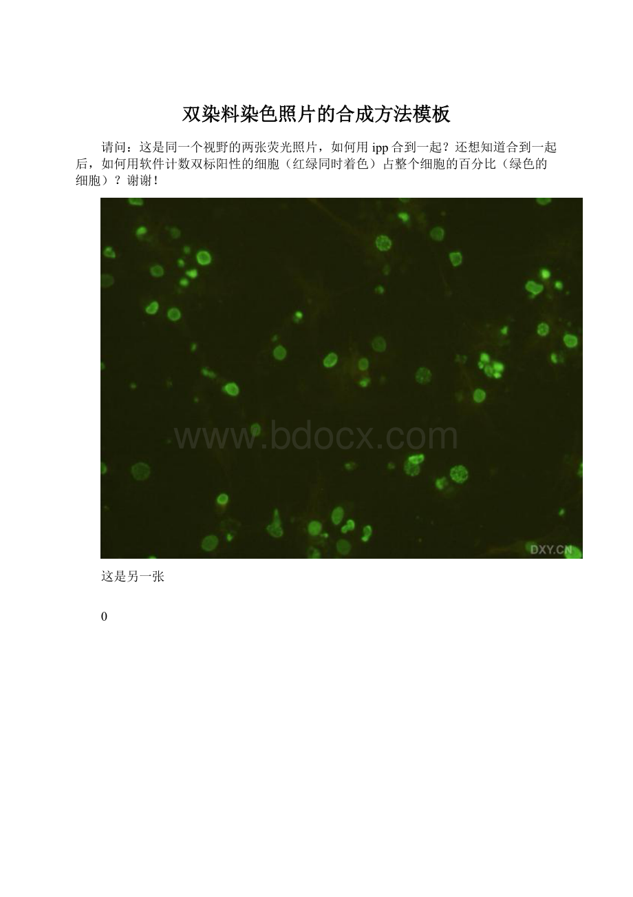 双染料染色照片的合成方法模板.docx