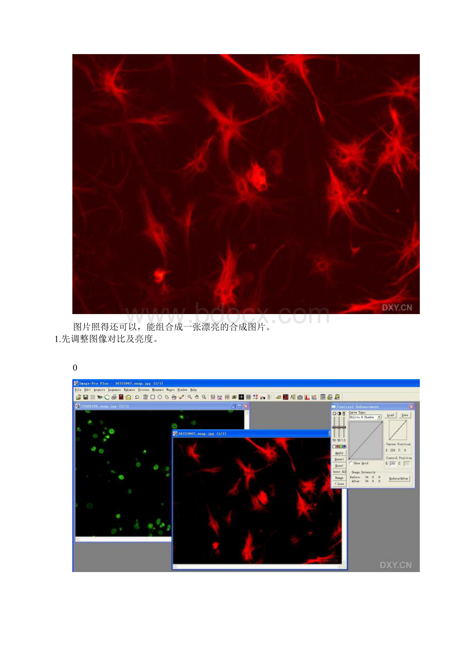 双染料染色照片的合成方法模板Word下载.docx_第2页