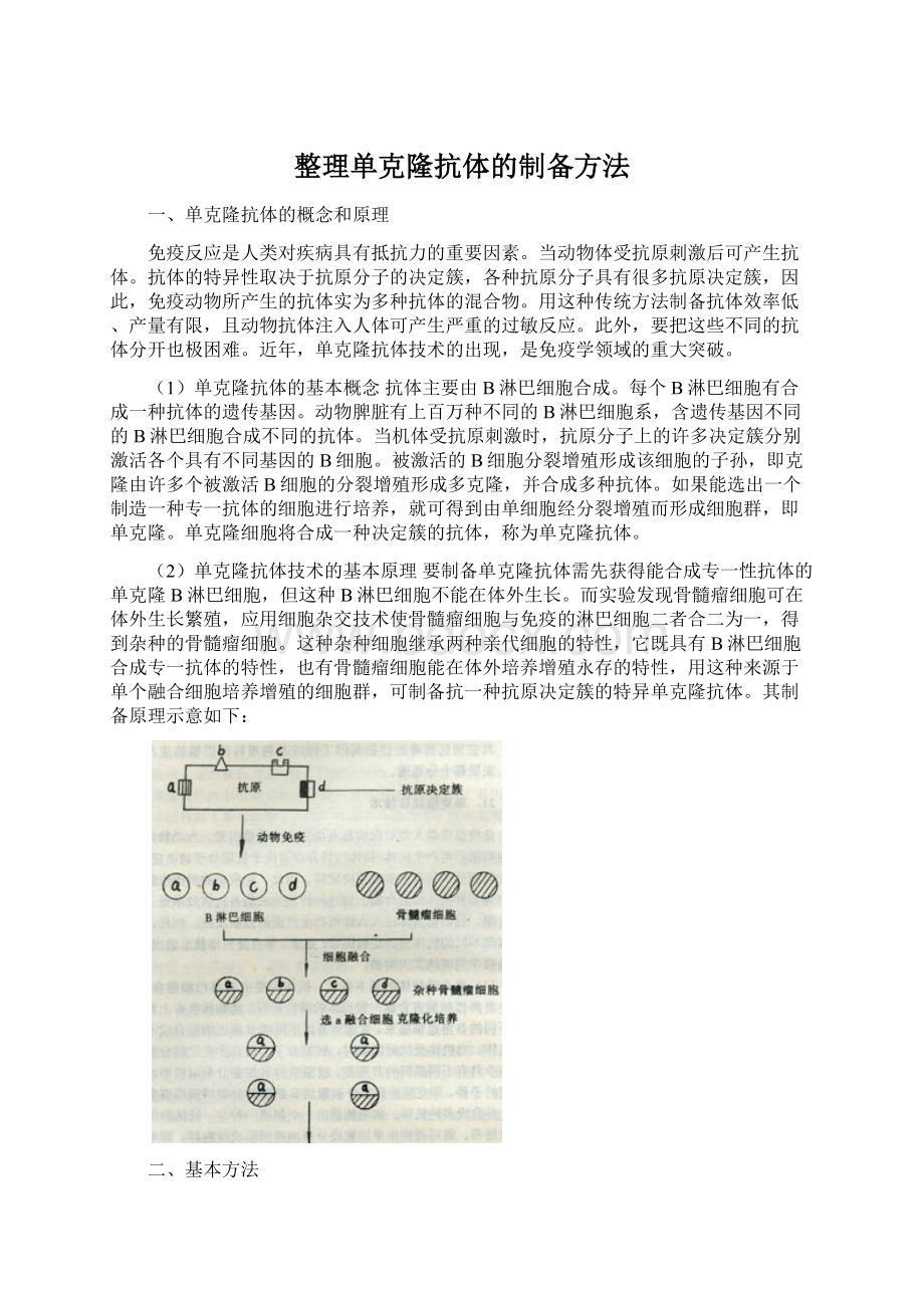 整理单克隆抗体的制备方法.docx